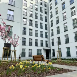 Kwitnące magnolie i żółte narcyzy w rabatach przed nowoczesnym, białym budynkiem apartamentowym z czarnymi balkonami i drewnianą ławką.