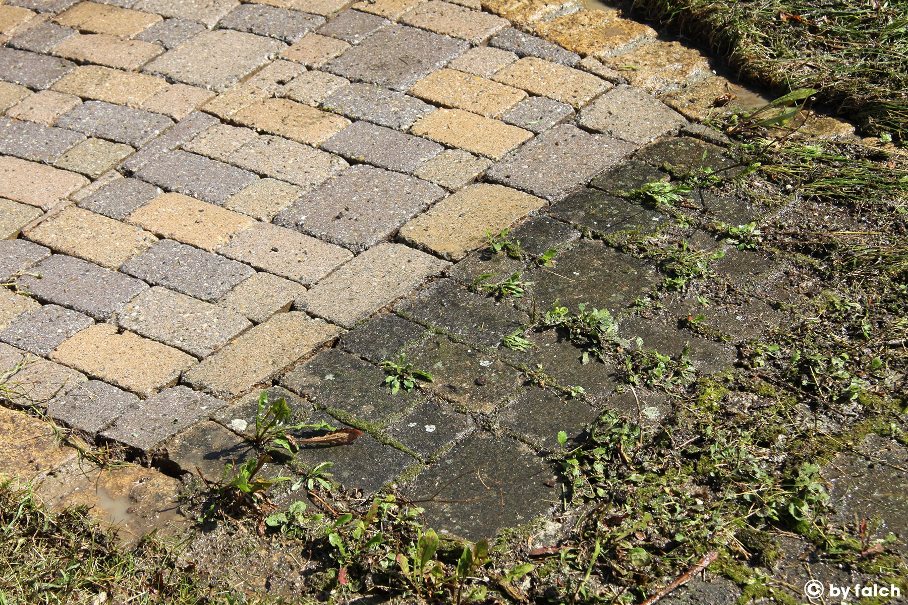 Fragment kostki brukowej, z widoczną różnicą w czystości między umytą a brudną częścią, z porastającymi chwastami i mchem.