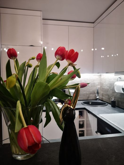 Biała kuchnia z połyskiem, oświetlenie LED pod szafkami, czarny zlew i blat, dekoracja z czarnego zajączka z złotymi uszami oraz wazon z czerwonymi tulipanami.