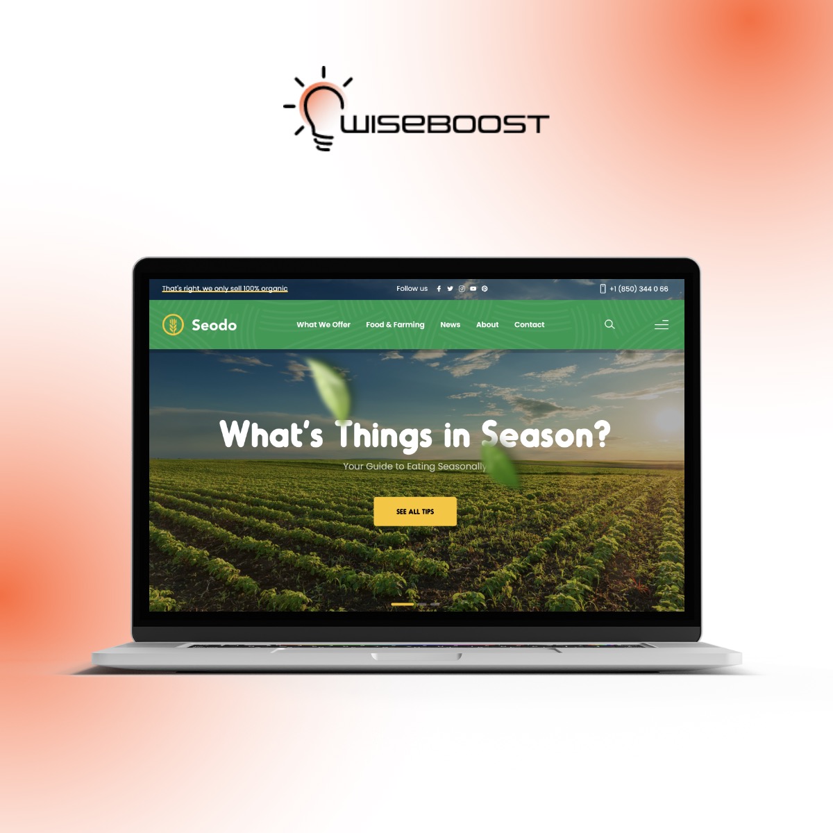 Laptop wyświetlający stronę internetową Seodo z tłem pola uprawnego i napisem 'What's Things in Season?' oraz logo Wiseboost w górnej części obrazu.