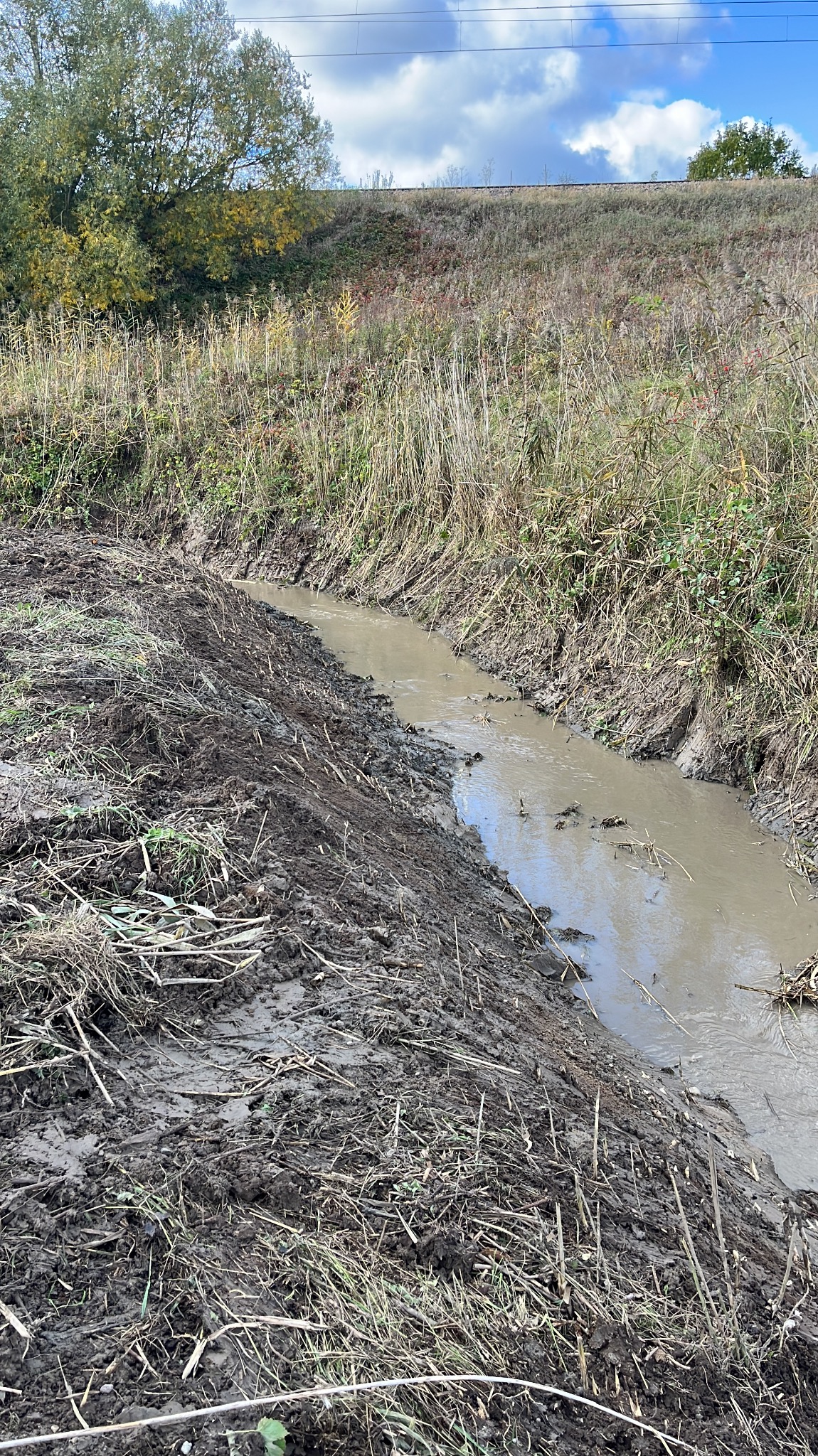 Melioracja rowu odwadniającego z brzegami oczyszczonymi z roślinności, w tle trawiasta skarpa i drzewa pod błękitnym niebem.