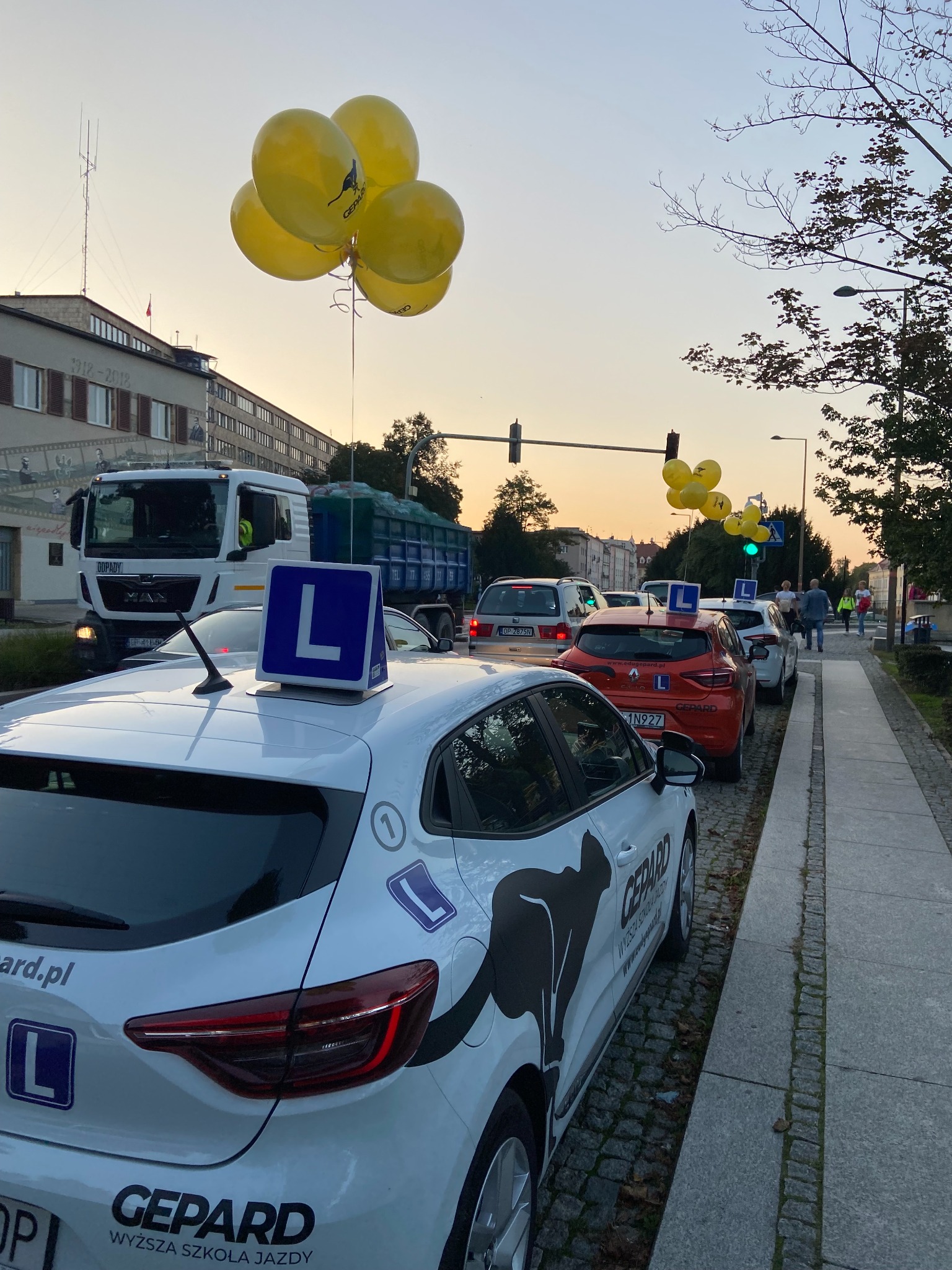 Gepard na mieście zaprasza na kursy