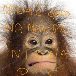 Usługi og&oacute;lnobudowlane - Gipsowanie Ścian Wrocław