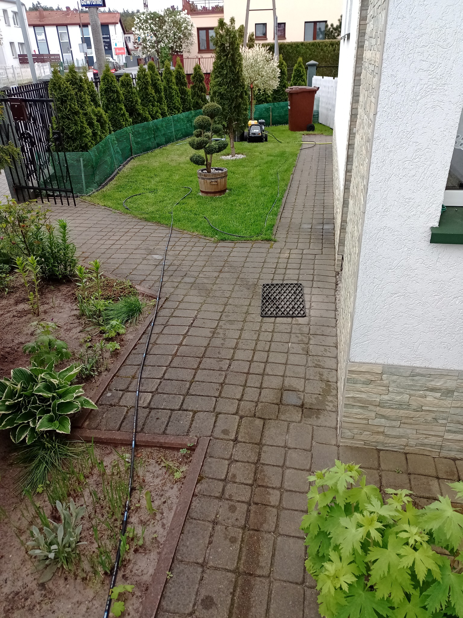 Kostka brukowa przed czyszczeniem, widoczny wąż ciśnieniowy i lekko zabrudzona powierzchnia, w tle trawnik, dekoracyjne drzewko w donicy i fragment elewacji budynku.