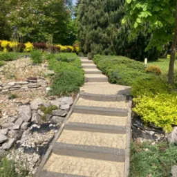 Kamienne schody prowadzące przez ogród z różnorodną roślinnością, w tle drzewa z kwitnącą magnolią.