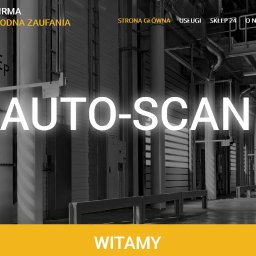 Responsywna strona web wykonana dla www.auto-scan.com.pl