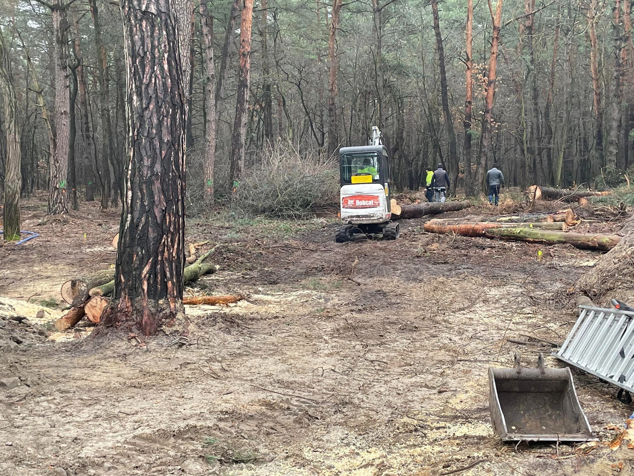 Mini koparka Bobcat pracuje na terenie leśnym, w tle dwóch pracowników przy pniu drzewa, widoczne powalone pnie i gałęzie, teren przygotowany pod wycinkę.