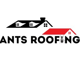 Ants Roofing Yurii Slashchuk - Rewelacyjna Płyta Warstwowa Wrocław