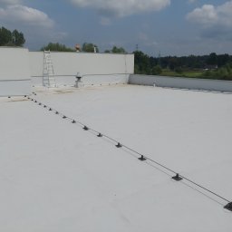 Ants Roofing Yurii Slashchuk - Solidne Uszczelnianie Dachu