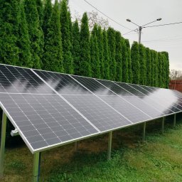 PV-EL - Rząd paneli słonecznych na metalowej konstrukcji, zainstalowany na trawniku przed szpalerem wysokich, zielonych tui.