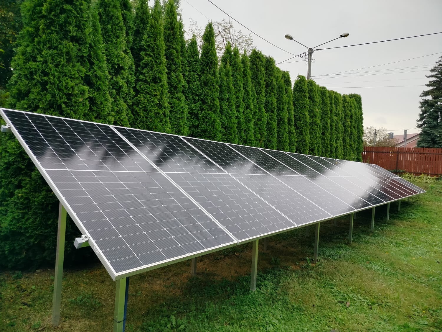Rząd paneli słonecznych na metalowej konstrukcji, zainstalowany na trawniku przed szpalerem wysokich, zielonych tui.