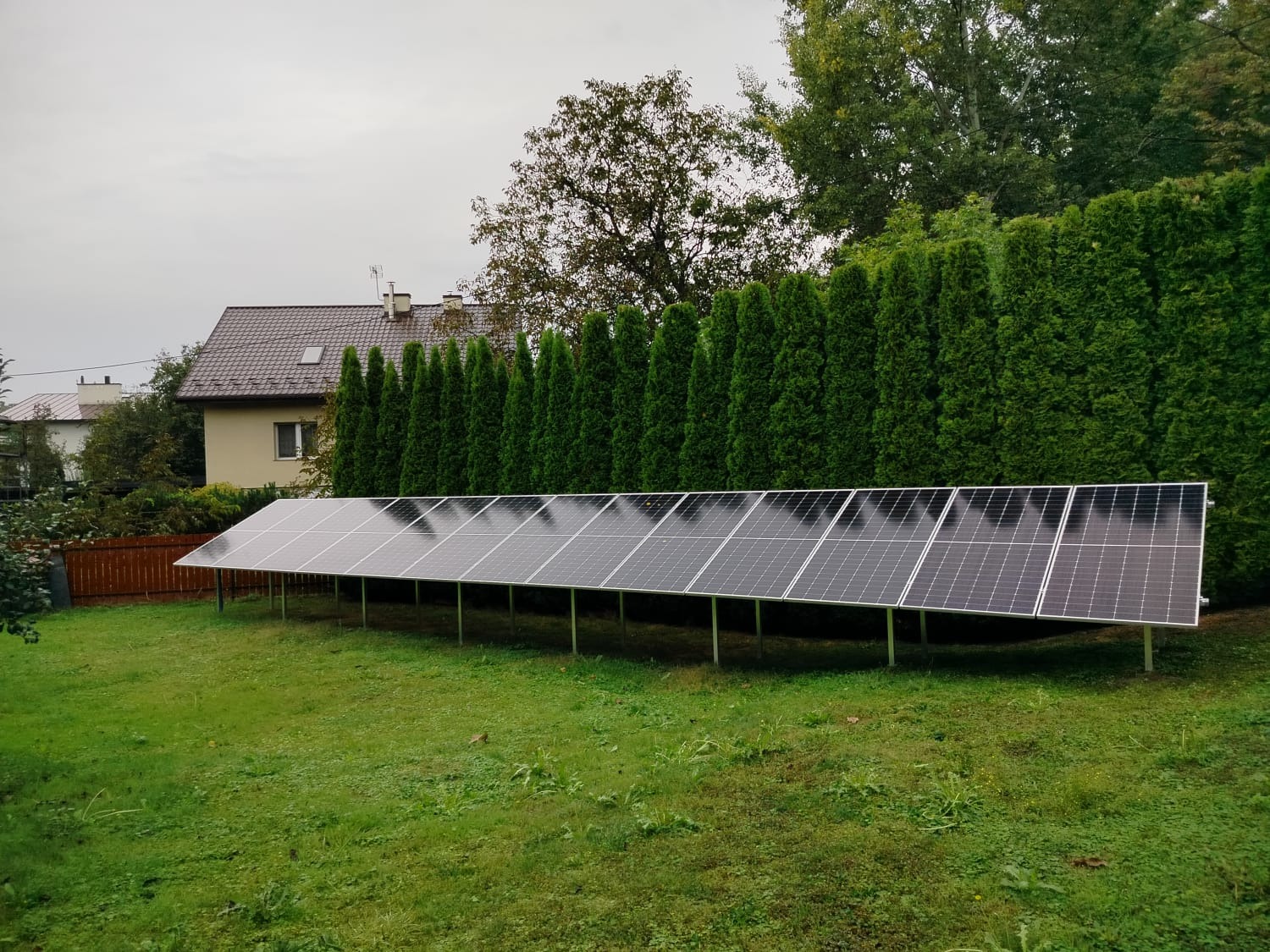 Rząd paneli słonecznych na metalowych podporach, zainstalowany na trawniku przed rzędem wysokich tuj i domem w tle, pochmurny dzień.