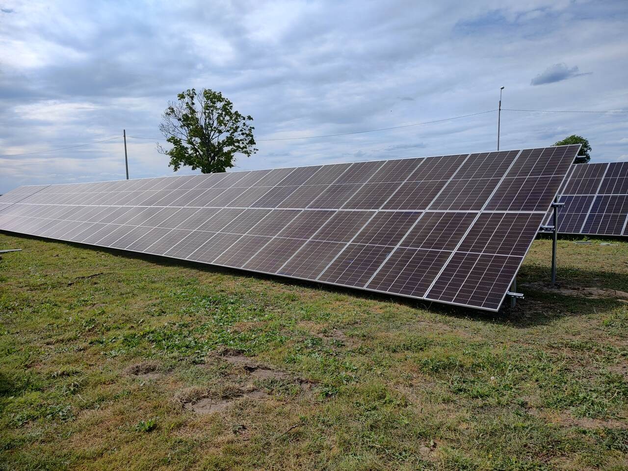 Długa instalacja paneli słonecznych na trawiastym terenie z drzewem w tle i pochmurnym niebem.
