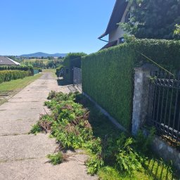 Ogrody Bonsai Damian Kopiec - Koszenie trawy Bielsko-Biała