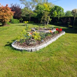 Ogrody Bonsai Damian Kopiec - Kwitnący, podwyższony klomb z kamienną obwódką na zadbanym trawniku. W tle różnorodne drzewa i krzewy, błękitne niebo. Słoneczny dzień, wiosenna aranżacja ogrodu.