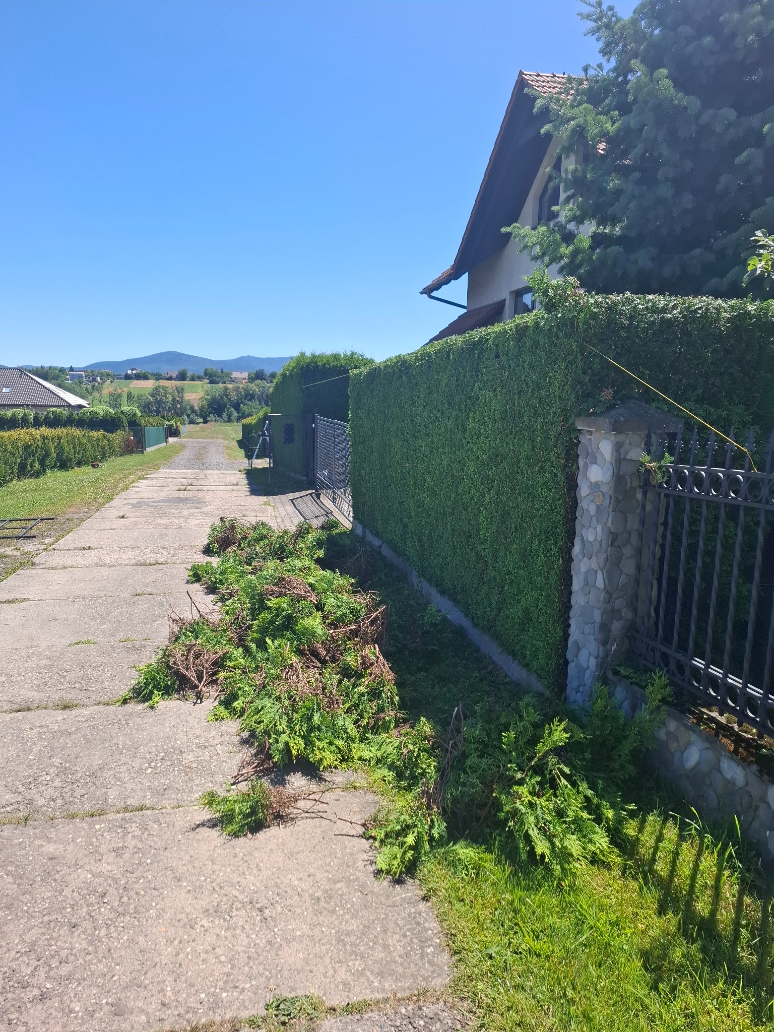 Przycięty żywopłot z pozostałościami gałęzi na betonowej ścieżce, widok na dom i wzgórza w tle. Słoneczny dzień, błękitne niebo.