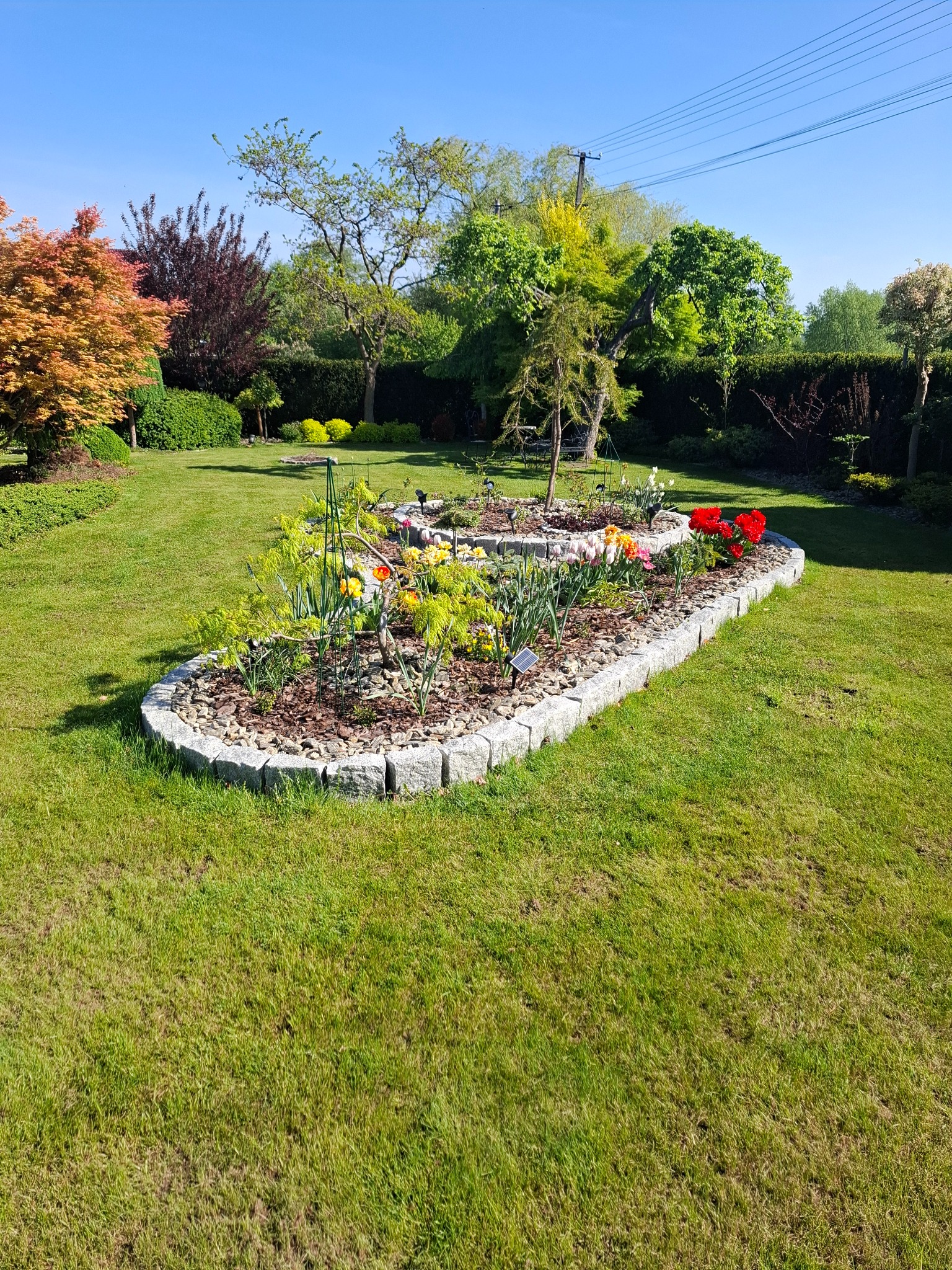 Kwitnący, podwyższony klomb z kamienną obwódką na zadbanym trawniku. W tle różnorodne drzewa i krzewy, błękitne niebo. Słoneczny dzień, wiosenna aranżacja ogrodu.