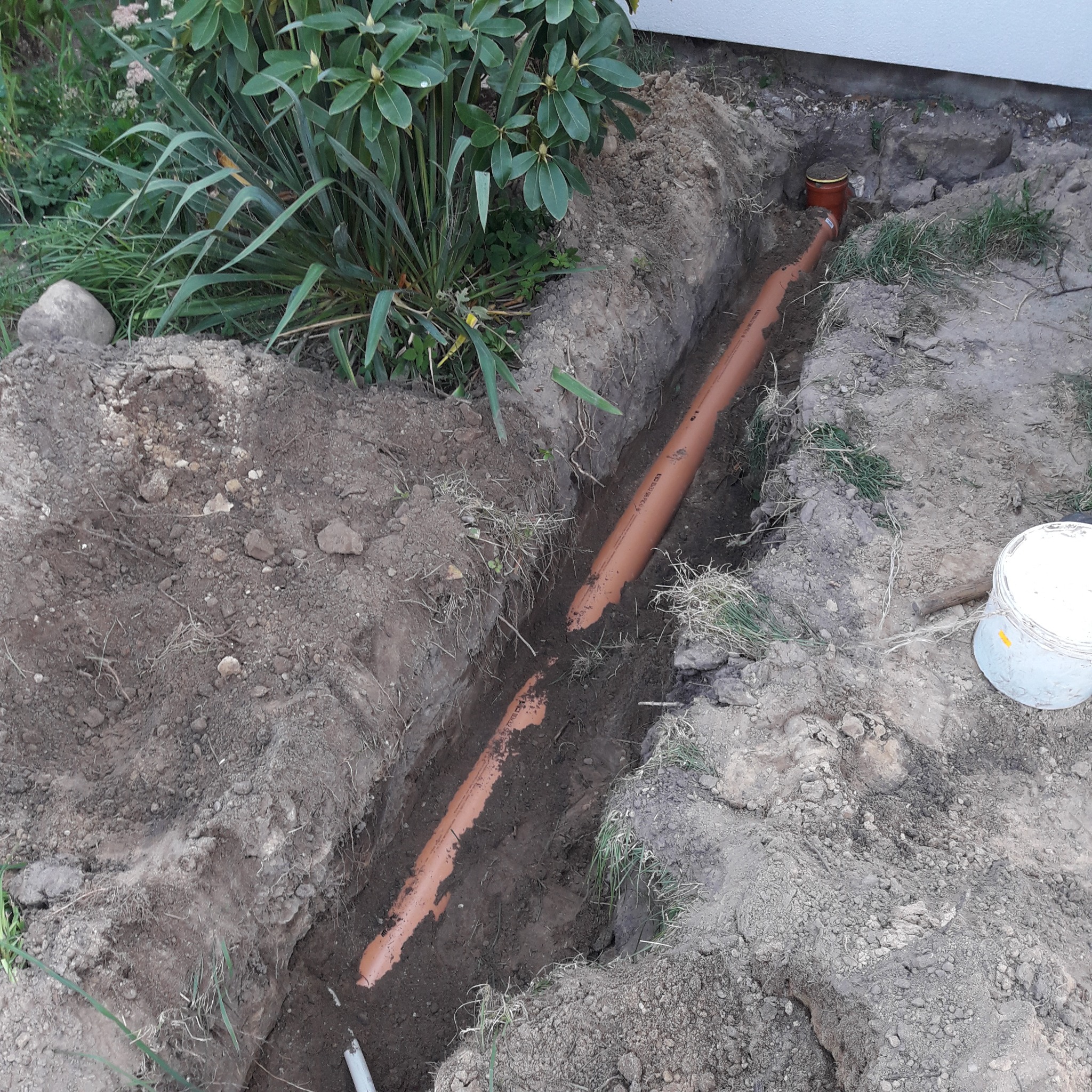 Brązowa rura kanalizacyjna ułożona w wykopie ziemnym, widoczne połączenie rur, obok wiadro i roślinność.