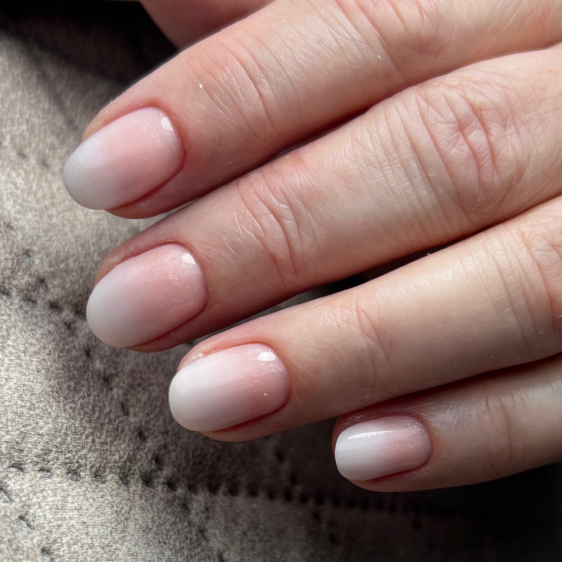 Hybryda + baby boomer - 100 zł