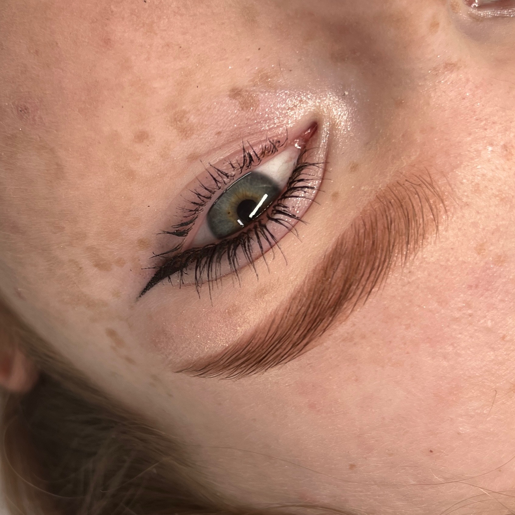 Henna pudrowa + regulacja brwi - 60 zł