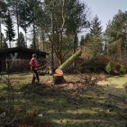 Jarosław Wilgos- Wycinka Drzew - Wyjątkowe Ścinanie Drzew w Sokołowie Podlaskim