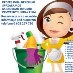 Super Clean - Mycie Okien Dachowych Toruń