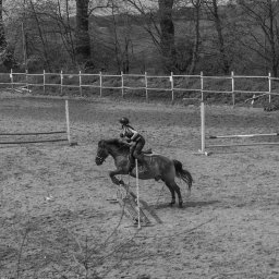 Photo._.melka - Czarno-białe zdjęcie jeźdźca na koniu pokonującego przeszkodę na piaszczystym terenie treningowym, z widocznym ogrodzeniem w tle.