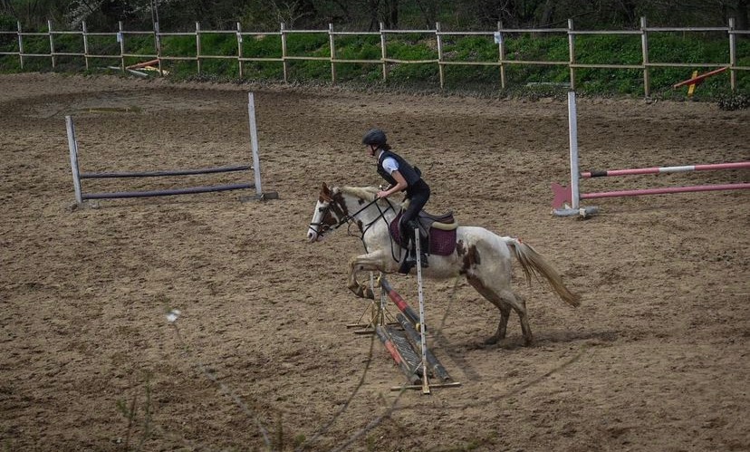 Młoda osoba w czarnym kasku i kamizelce jeździeckiej na łaciatym koniu skacze przez przeszkodę na piaszczystym terenie z drewnianym ogrodzeniem w tle.