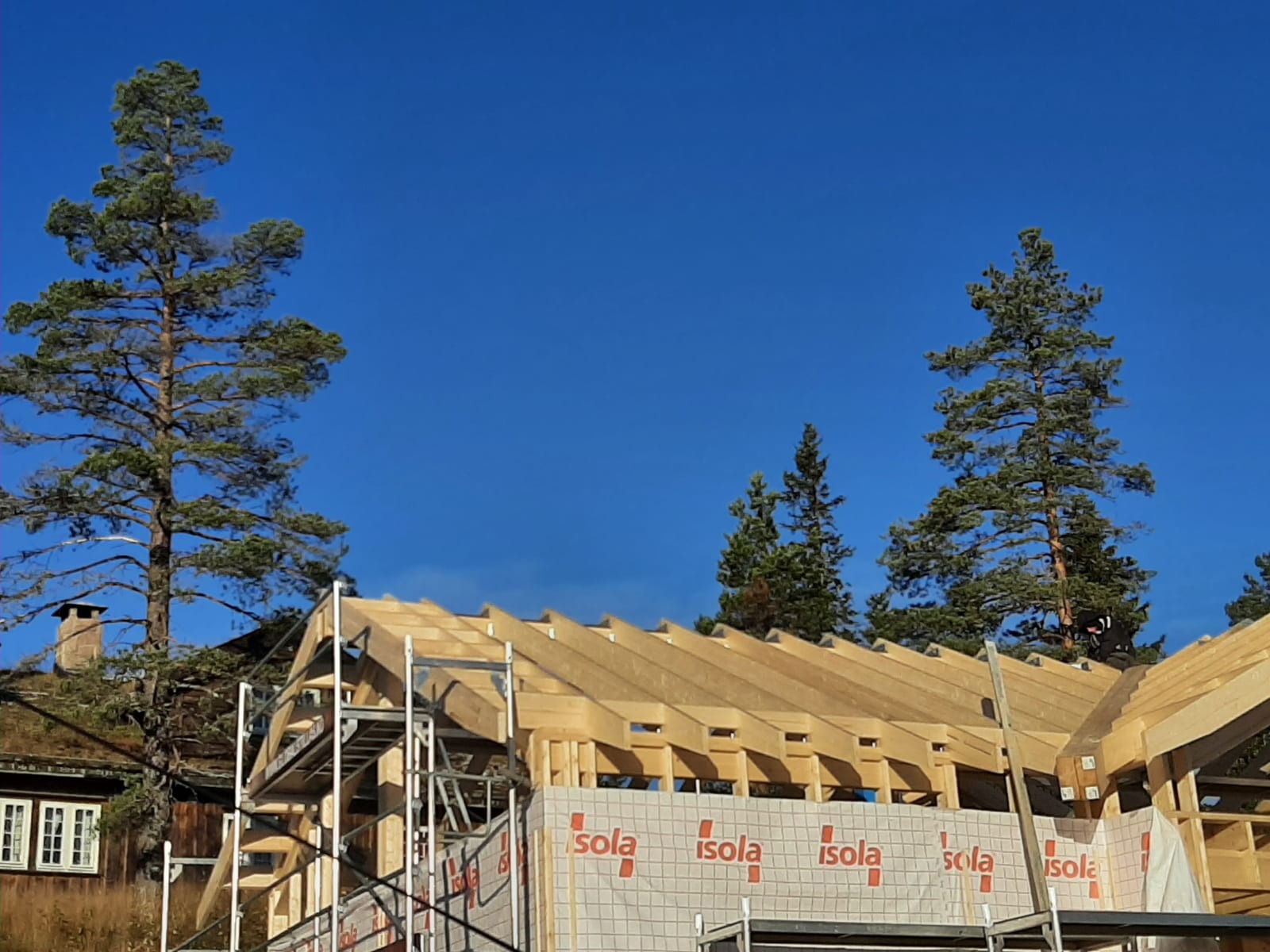 Budowa domu szkieletowego w Gnieźnie, widoczna konstrukcja dachu z drewnianych belek na tle błękitnego nieba i wysokich sosen, zabezpieczona folią izolacyjną z logo producenta.