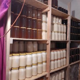 Pasieka Maja - Rośliny i podłoża Łuków