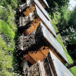 Remont łazienki Wojcieszków 3