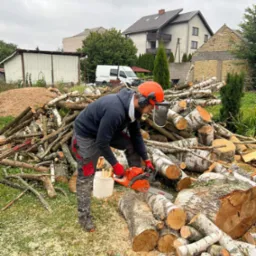 Mężczyzna w kasku i ochronnikach słuchu tnie piłą spalinową drewno na tle sterty pociętych gałęzi i pni drzew, z widocznymi budynkami w oddali.