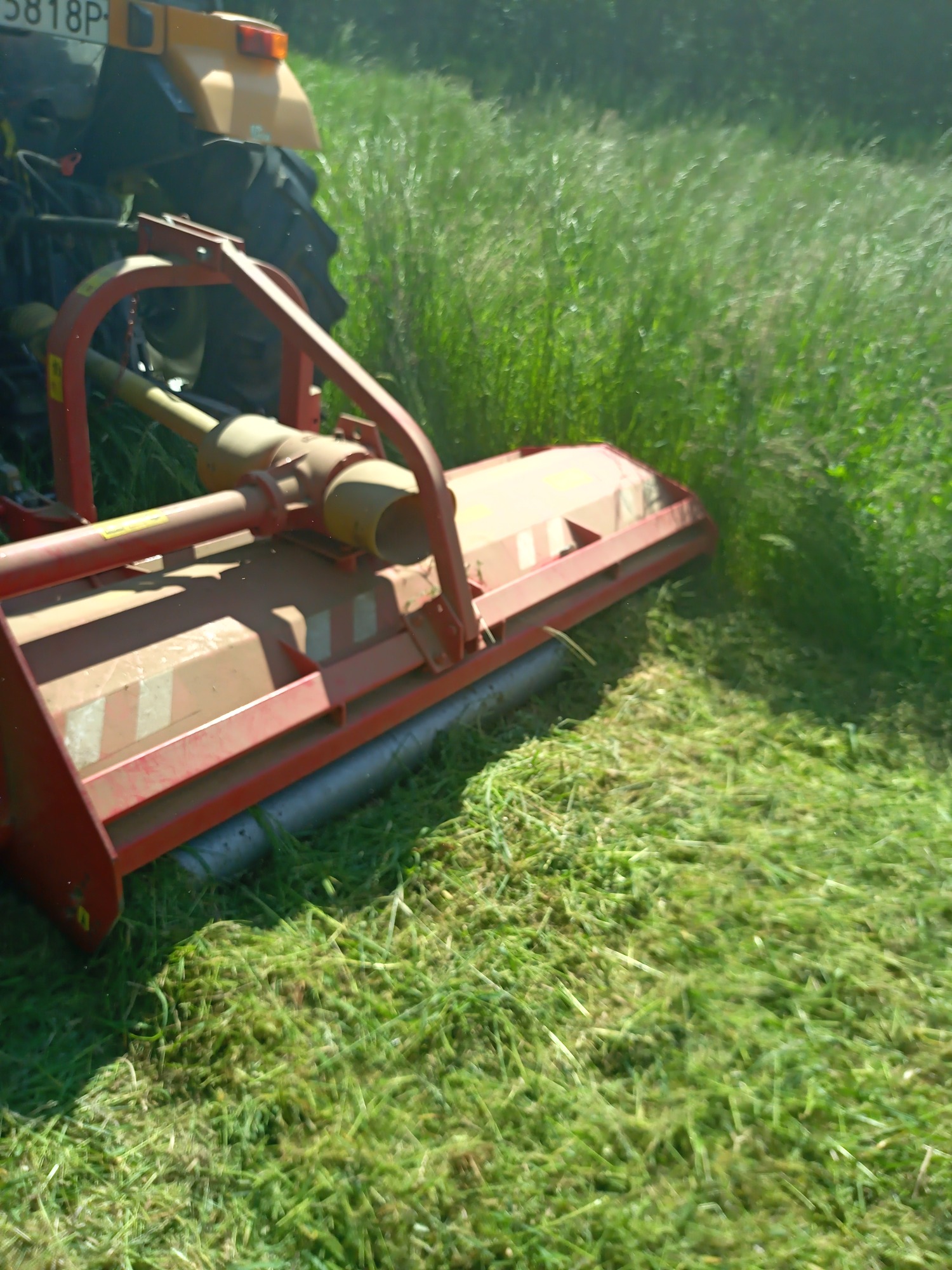 Czerwona kosiarka traktorowa w trakcie koszenia wysokiej, zielonej trawy na polu, widoczne świeżo skoszone źdźbła.