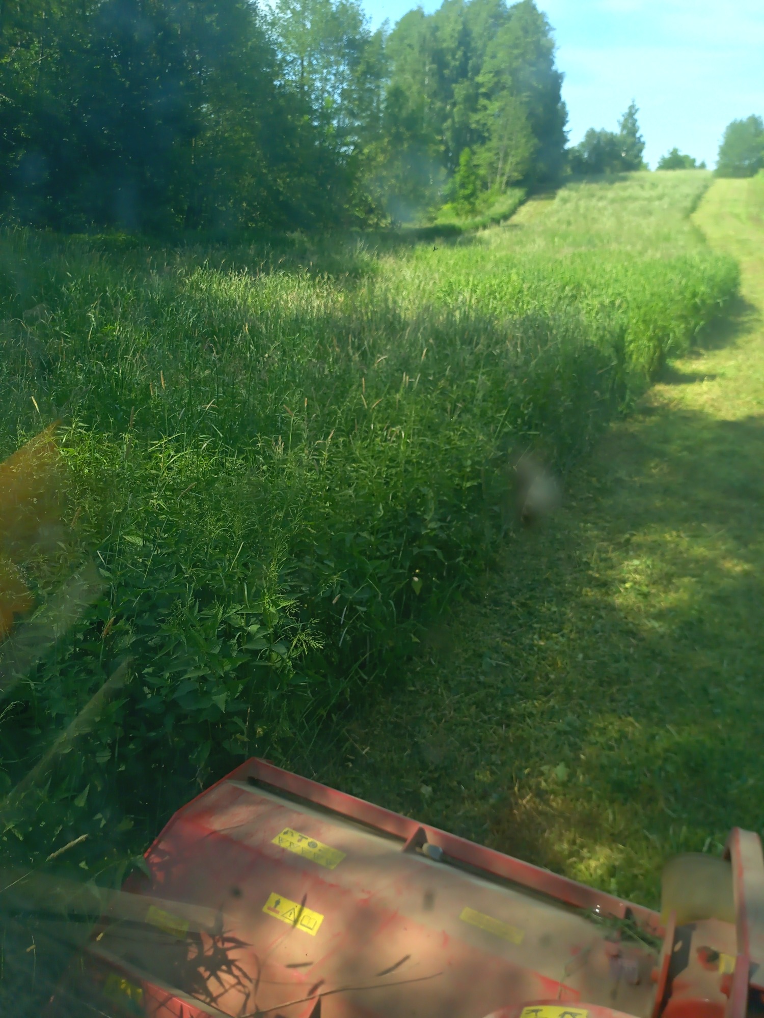 Widok z kabiny traktora na łąkę w trakcie koszenia, z widoczną maszyną koszącą z przodu i śladem świeżo skoszonej trawy po prawej stronie, w tle zielone drzewa i lekko pochylone pole.