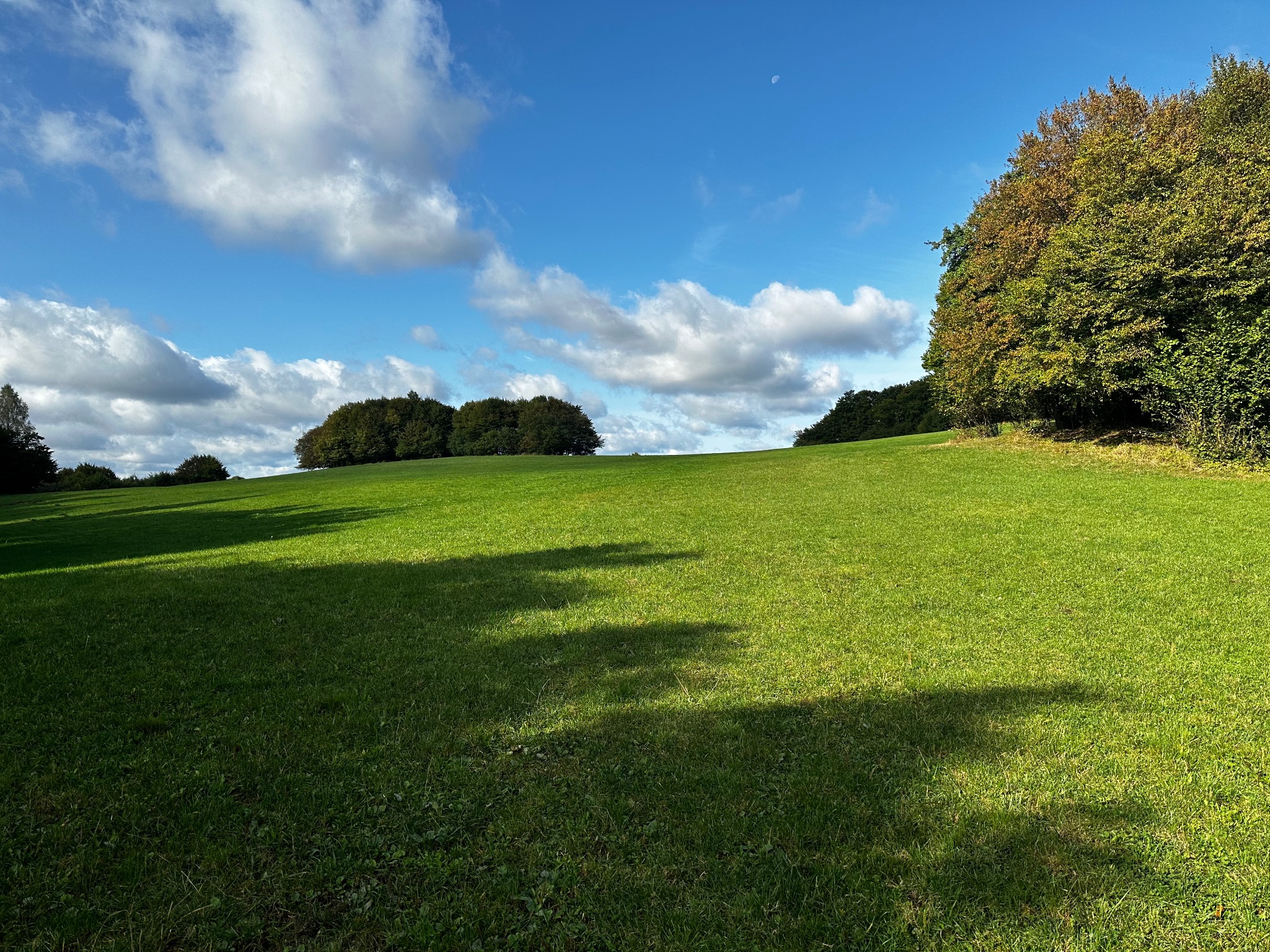 Rozległe, zielone pole z drzewami w tle, błękitne niebo z białymi obłokami i widocznym księżycem w górnym rogu.