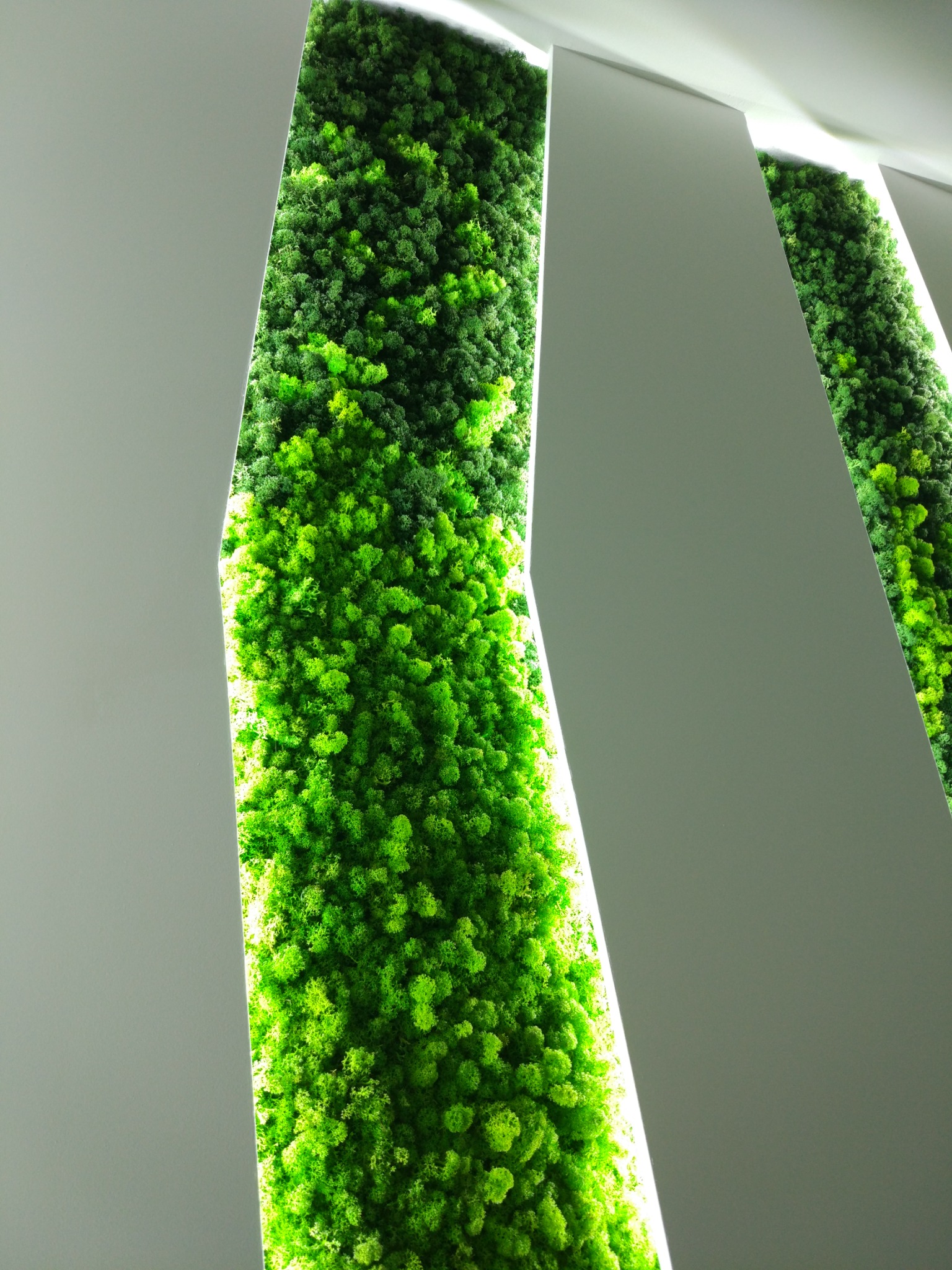 Fragment dekoracji ściennej z mchu stabilizowanego, podświetlonej ledowym światłem, wkomponowanej w białą konstrukcję z płyt.