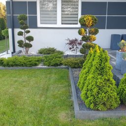 Pielęgnacja ogrodów Skrzeszew 2