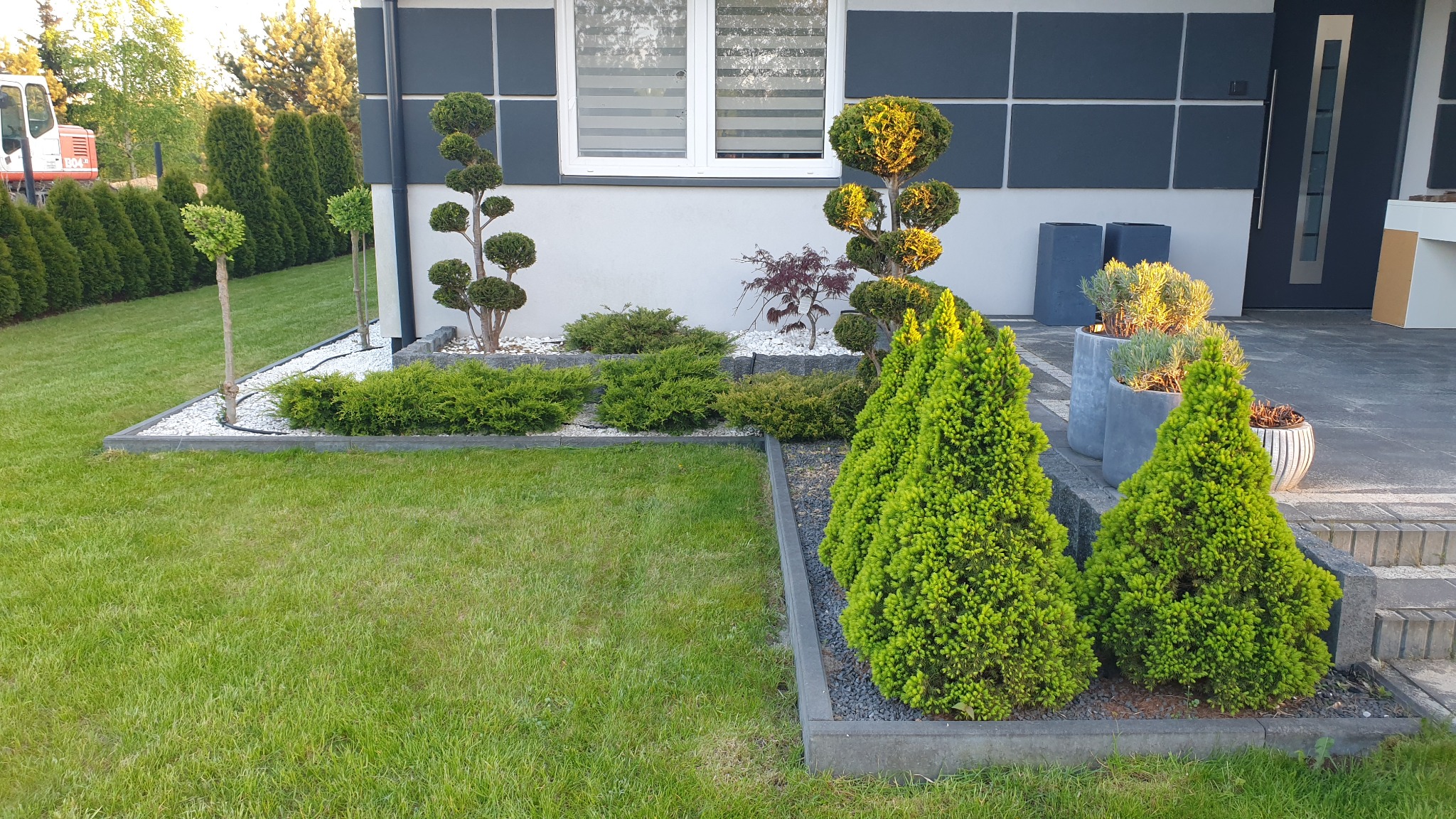 Zadbany ogród przydomowy z równo przystrzyżonym trawnikiem, ozdobnymi drzewkami formowanymi w kule, niskimi krzewami iglastymi i białym kamieniem dekoracyjnym, na tle nowoczesnego domu z szarymi...