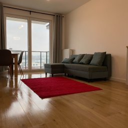 4myhome - Jasne wnętrze pokoju z parkietem, szarą sofą z poduszkami i czerwonym dywanem. Widok na miasto zza okna balkonowego.