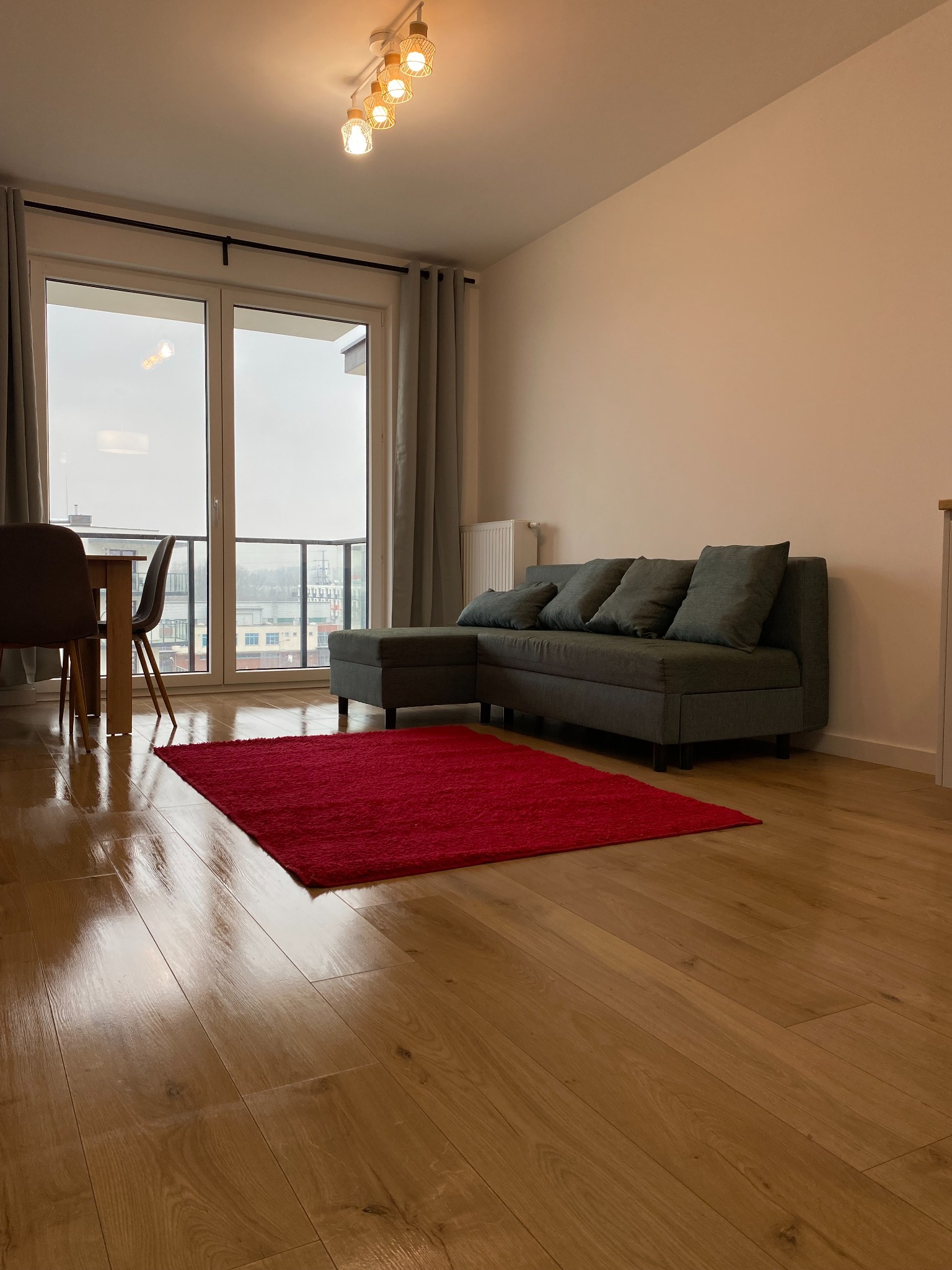 Jasne wnętrze pokoju z parkietem, szarą sofą z poduszkami i czerwonym dywanem. Widok na miasto zza okna balkonowego.