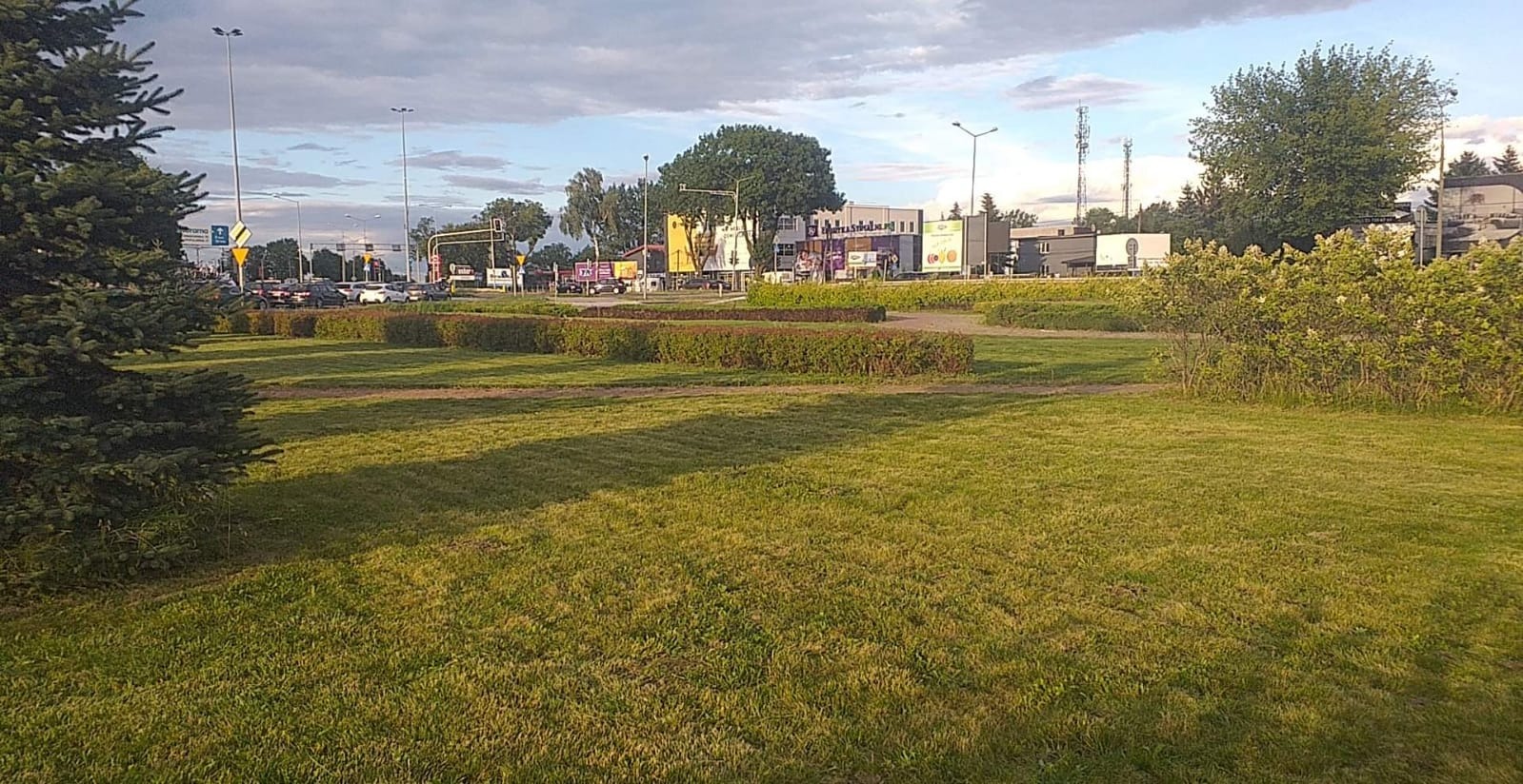 Rozległy trawnik z niskimi krzewami, w tle zabudowania miejskie i ruch uliczny w letnie popołudnie.