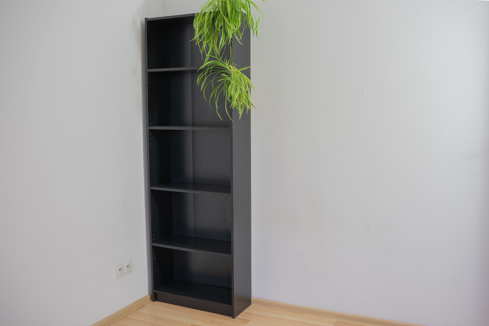 Ciemny regał z półkami, na którym zwisa zielona roślina, ustawiony przy białej ścianie z widocznymi gniazdkami elektrycznymi. Podłoga z paneli.