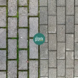 Kostka brukowa: połowa wyczyszczona z mchu, druga połowa porośnięta mchem, widoczne logo firmy czyszczącej.