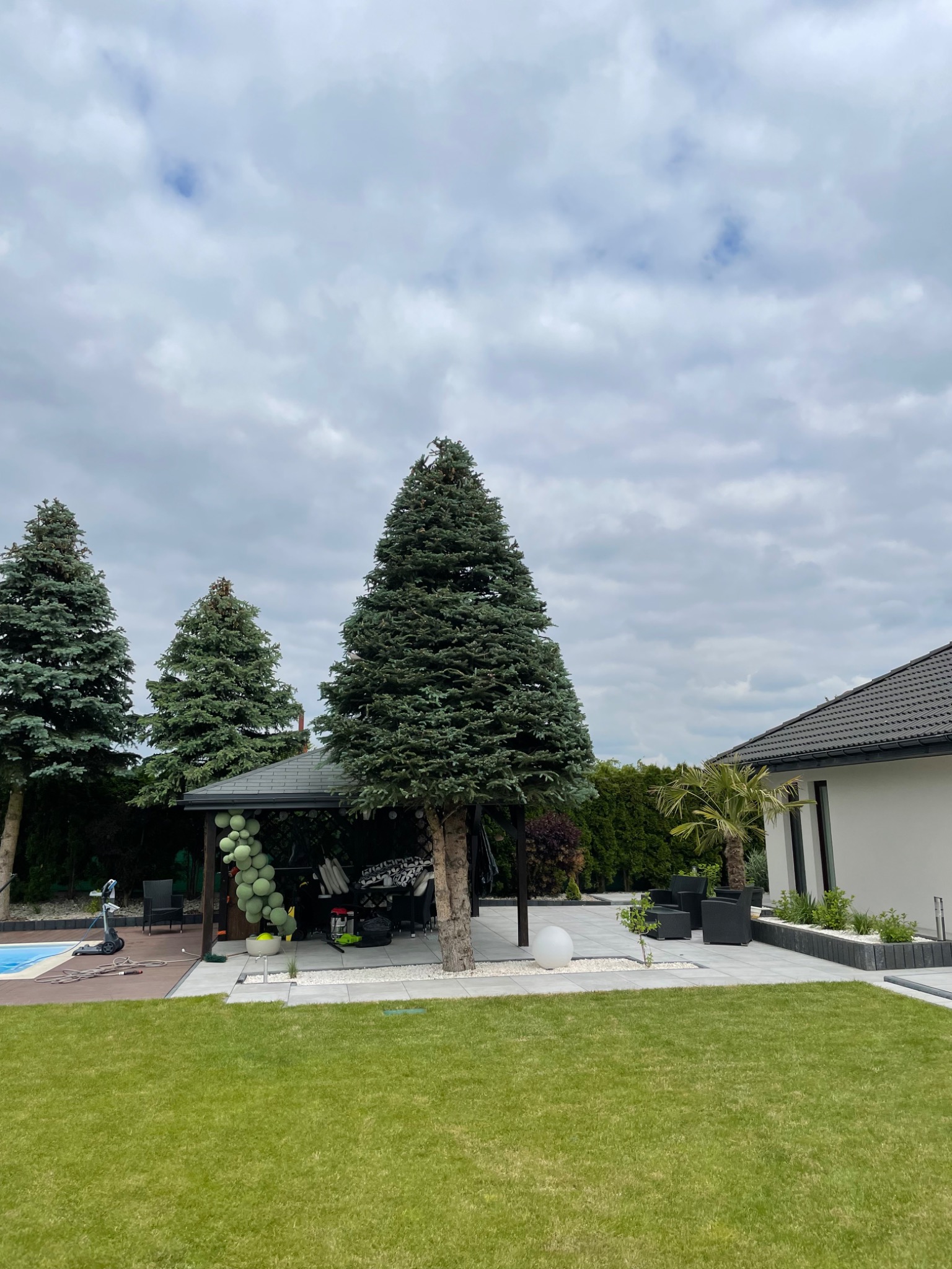 Utrzymany w zieleni ogród z trzema wysokimi świerkami, trawnikiem, altaną ozdobioną zielonymi balonami i fragmentem basenu w tle, pod pochmurnym niebem.