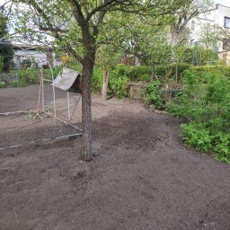 Szybki ogród - Przygotowany teren pod uprawę z młodym drzewkiem pośrodku, widoczny szkielet szklarni i zielona roślinność w tle.