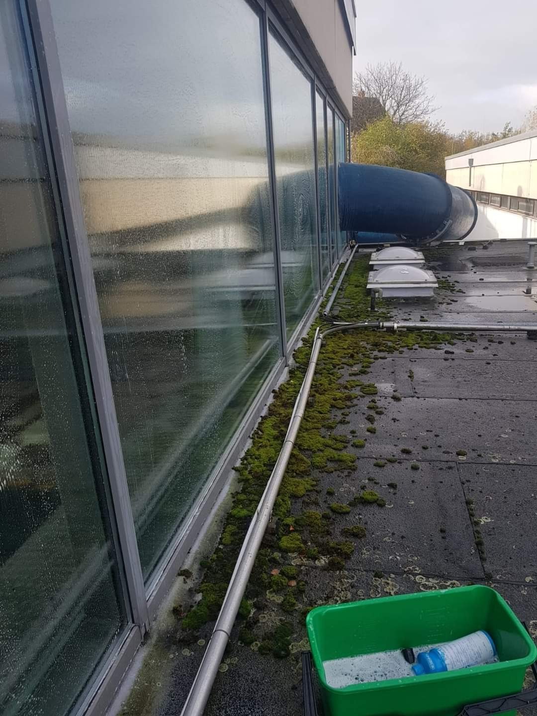 Mycie okien na dachu budynku z widocznymi śladami mchu, zielone wiadro z płynem do mycia, widoczne niedomyte okna.