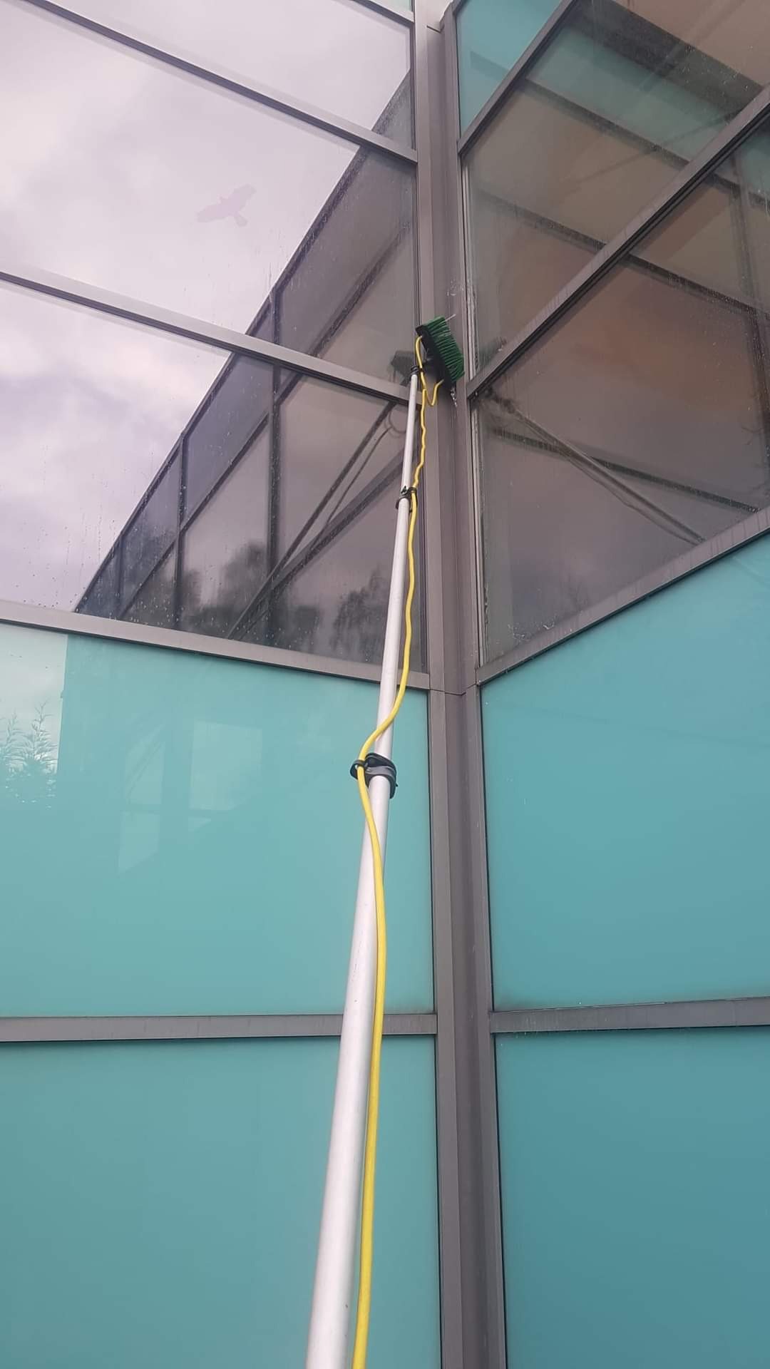 Szczotka na teleskopowym kiju z żółtym przewodem podczas czyszczenia szklanej elewacji budynku z widocznym odbiciem nieba z ptakiem.