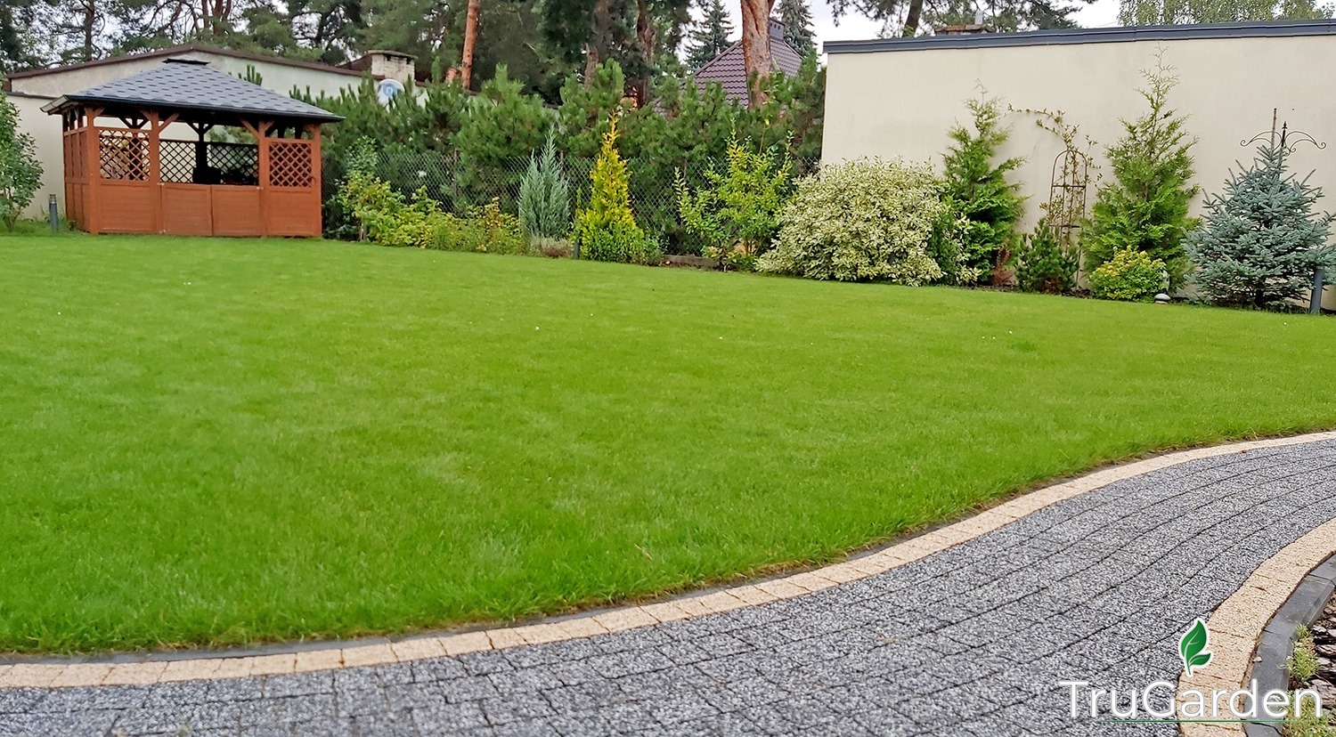 Zadbany trawnik z drewnianą altaną w tle, obok ścieżka z kostki brukowej i różnorodne drzewa iglaste wzdłuż ogrodzenia.