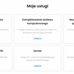 Wyświetlona lista usług: Wymiana podzespołów komputera, Kompletowanie zestawu komputerowego, Nauka seniorów w obsłudze sprzętu elektronicznego, Tworzenie strony WWW, Serwis, Inne usługi...