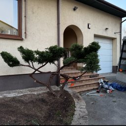 High Garden - Pierwszorzędna Pielęgnacja Drzew Starachowice